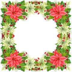 Christmas frame decoration Christmas star and winter plants: holly leaves, dried twig with red berries and fir branch isolated on white background. Watercolor Christmas wreath of poinsettia flowers.