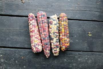 Multi-colored corn lies on the old vintage table. 