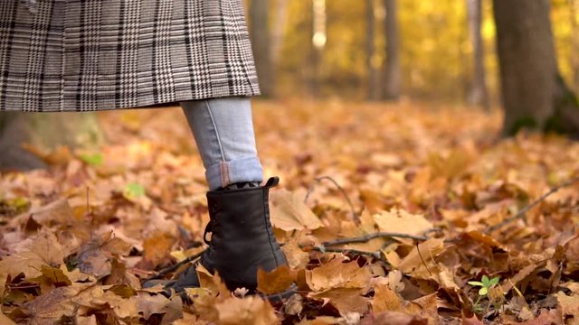 Goes on fallen leavesA woman walks along the yellow fallen leaves in the autumn forest. Legs close up. Slow motion