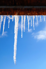 Many large and sharp icicles hang on the roof of the house.