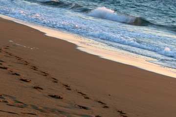 footprints in the sand on the shores of the Mediterranean Sea in the north of Israel