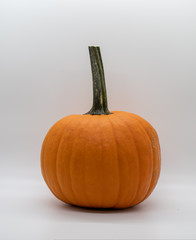 pumpkin isolated on white background