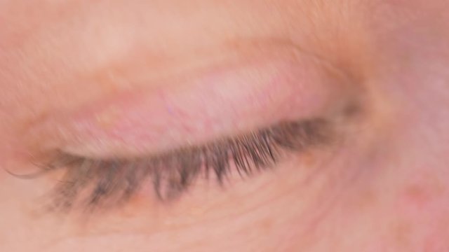 Macro of woman eye, gren and blue clored eye close up