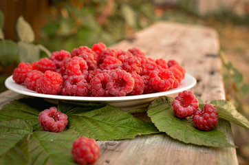 Fresh beautiful raspberries lie that dish in the park. Raspberries and its leaves in a still life. Bright summer photo in warm tint.