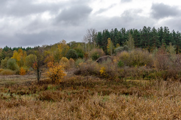 Autumn state of nature on a cloudy day