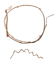 Circle frame and swirl from dry grape branches isolated on white background