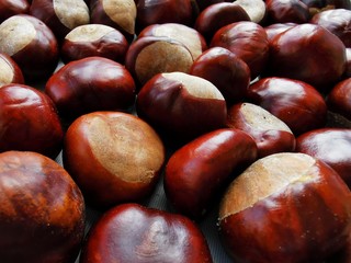 Ripe chestnuts close up, top view. Food background. Raw Chestnuts
