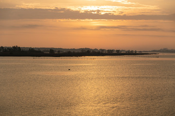 The natural park of Po delta in Italy
