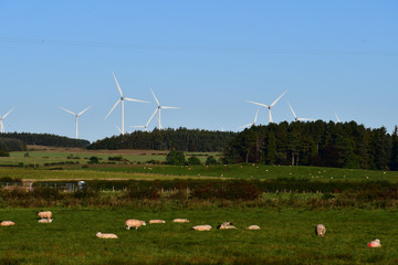 Wind power turbines