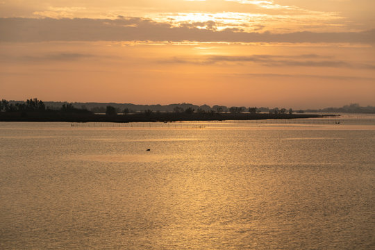 The natural park of Po delta in Italy