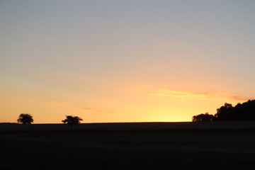 Fototapeta na wymiar Sunrise over meadow