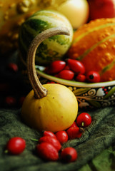 Pumpkin harvest vegetables autumn seasonal food still life natural light