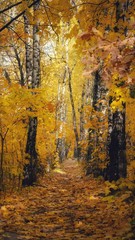 Fototapeta premium path with fallen yellow leaves in the autumn forest
