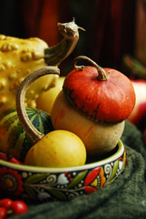 Pumpkin harvest vegetables autumn seasonal food still life natural light