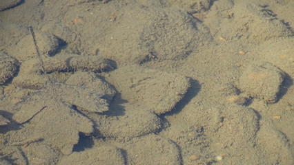 footprints in the sand