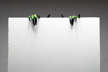 Two green zombie hands with long nails holds empty sheet of paper on gray background in studio