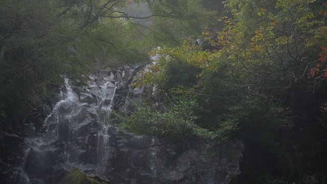 Scenic Waterfall in a Dense Fog : Hiryu Falls in Hakone, Kanagawa, Japan (slow motion/loop)