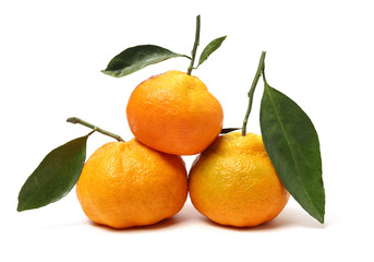 ugly tangerine on a white background 