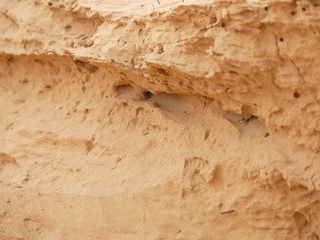 desert