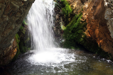 Waterfall in mountain forest