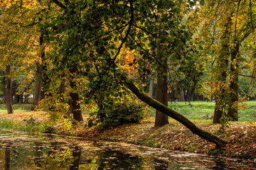 Jesień w Parku Lubomirskich, Dojlidy, Białystok, Podlasie, Polska
