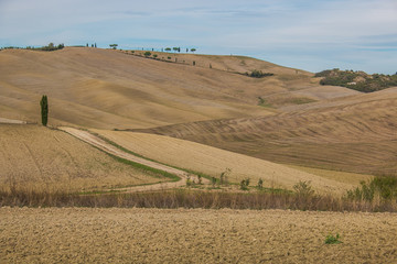 Paesaggio rurale tipico della regione Toscana in autunno