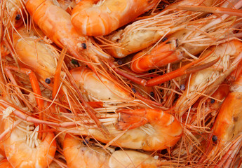 Shrimp background, many fresh cooked shrimps together