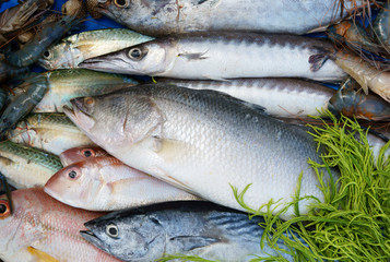 Fresh raw seafood background