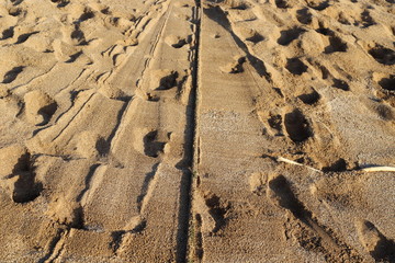 footprints in the sand on the shores of the Mediterranean Sea in the north of Israel
