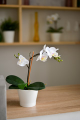 Flowers in a vase on wooden table.