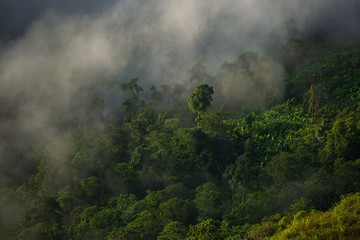 Misty clouds cover mountains in Thailand.