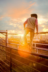 Cowboy in the Cow Pens at Sunrise