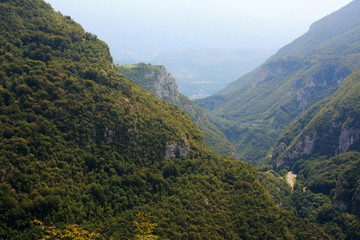 Mountain gorge, overgrown with forest