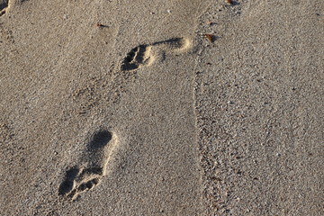 footprints in the sand on the shores of the Mediterranean Sea in the north of Israel
