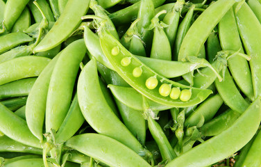 Fototapeta premium Fresh green peas pods background