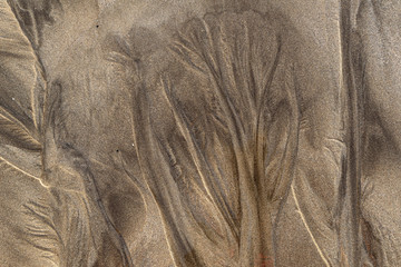 Close-up pictures of the natural origin created by the ocean on wet sand in the low tide zone