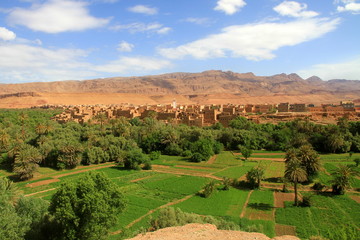 Das fruchtbare Tal des Oued Todhra am Fuße des Hohen Atlas (Marokko)