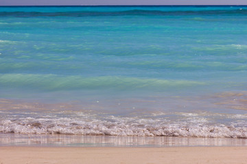 Blue wave on the sea, sandy coast