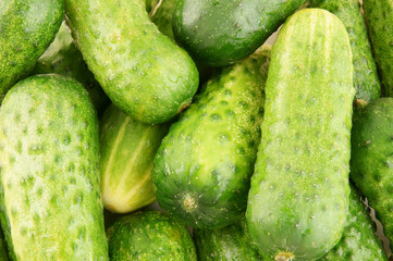 Fresh cucumbers background