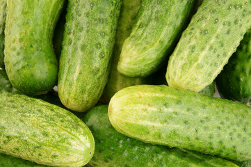 Fresh cucumbers background