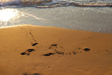 footprints in the sand on the shores of the Mediterranean Sea in the north of Israel