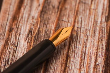 Calligraphy pen isolated on wooden surface