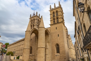 Historical buildings of the University of Medicine and the Cathedral in Montpellier, Languedoc-Roussillon, France