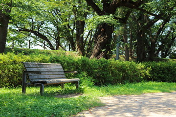 公園