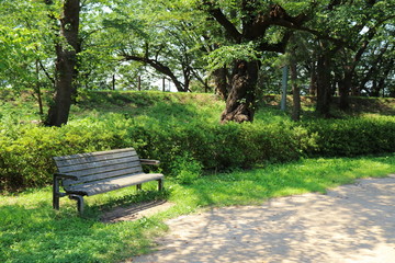 公園