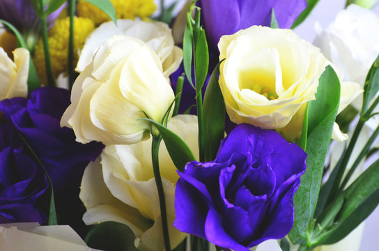 Close -up flowers, floral background,photo