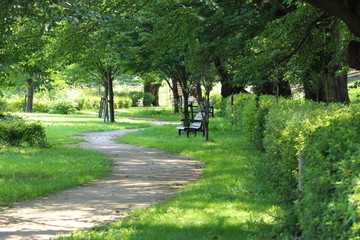 Fototapeta premium 公園