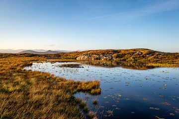 Looking out over a loch on the Hebridean island of North Uist, with evening light