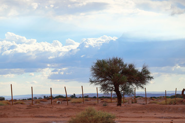 Fototapeta na wymiar Views of the arid landscape of the Atacama desert, Chile