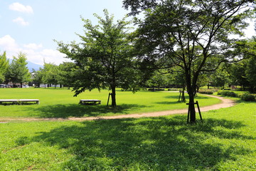 Obraz premium 公園